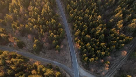 imágenes cinematográficas de drones de una carretera solitaria al atardecer que atraviesa un bosque de coníferas