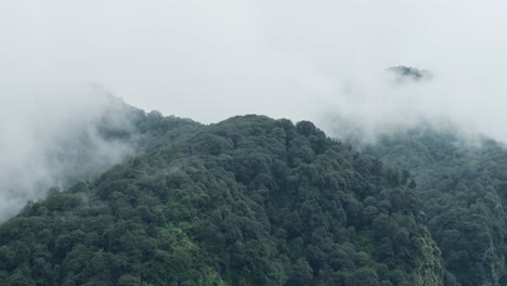 aerial forest of trees and clouds in himalayas mountains scenery in nepal, elevated view from above of green forest of trees and low lying clouds moving over the treetops