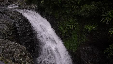 close shot from the top of the waterfall on cave creek from the walking trail, natural bridge, springbrook national park