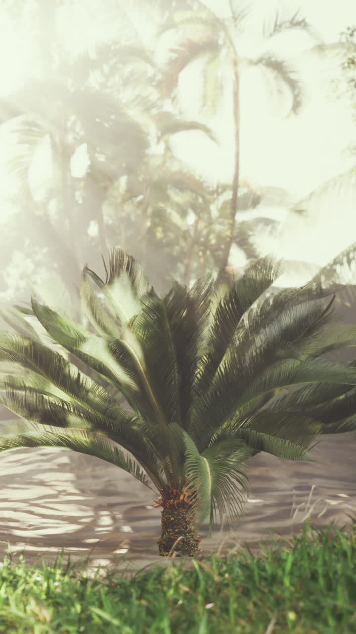 escena de la selva tropical con palmeras