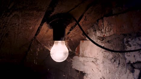 flashing lightbulb in the web in the old basement of the house.