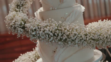 elegant tiered cake adorned with white florals and soft textured icing
