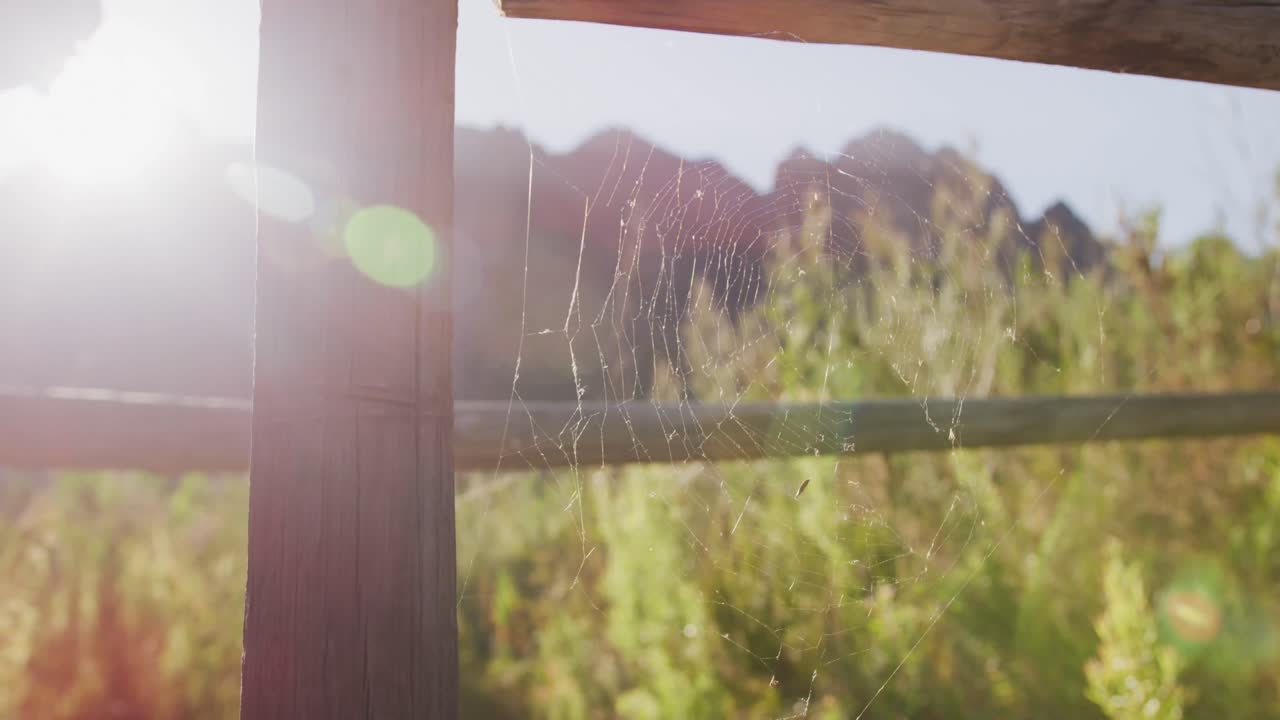 백인 부부 가 자연 에서 하이킹 을 하고 있다