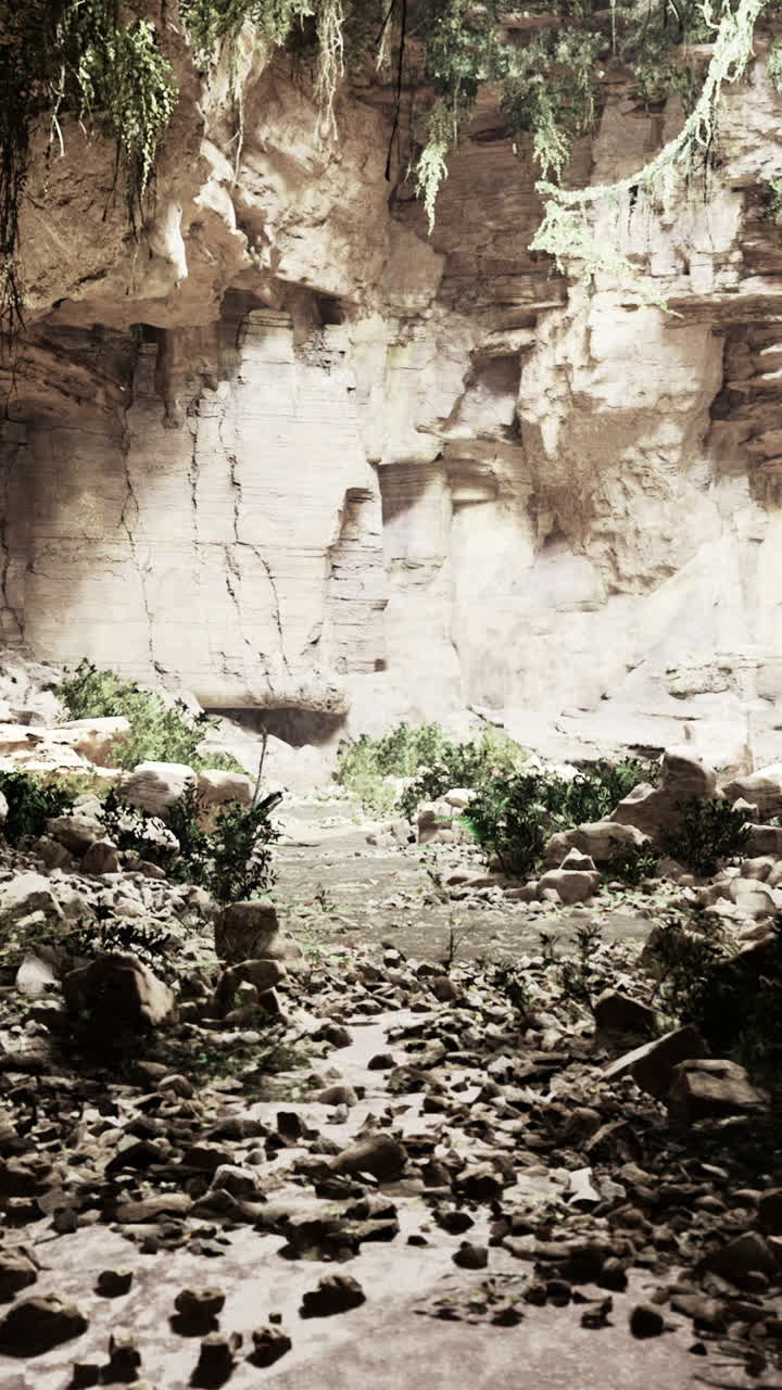 Exploring a serene cave with lush vegetation and rocky terrain