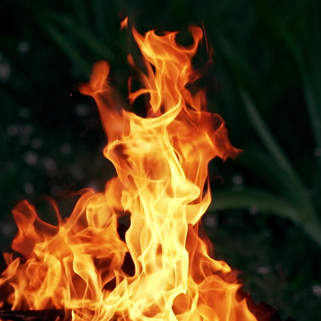 Dark background with orange flame. Bright fire burns at dusk. Fire in darkness.