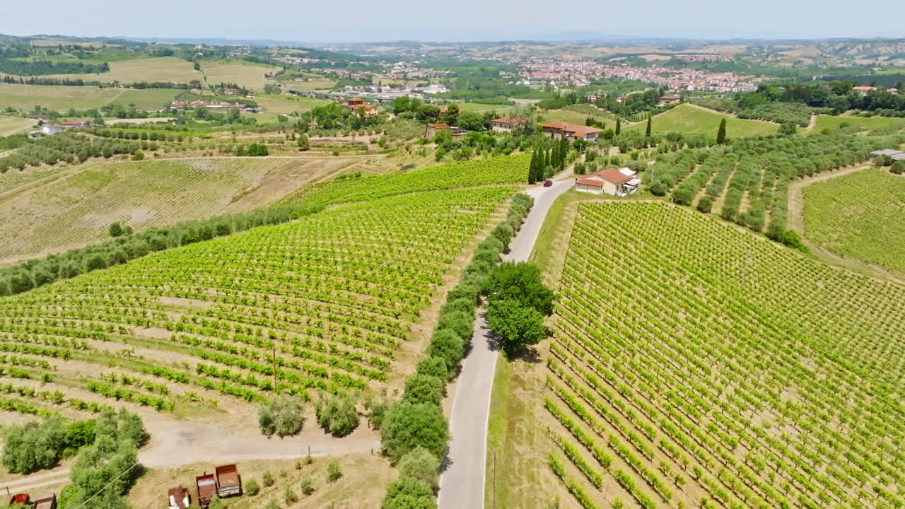 Panoramic drone shot of a RV driving in middle of grapevine, summer day in Italy