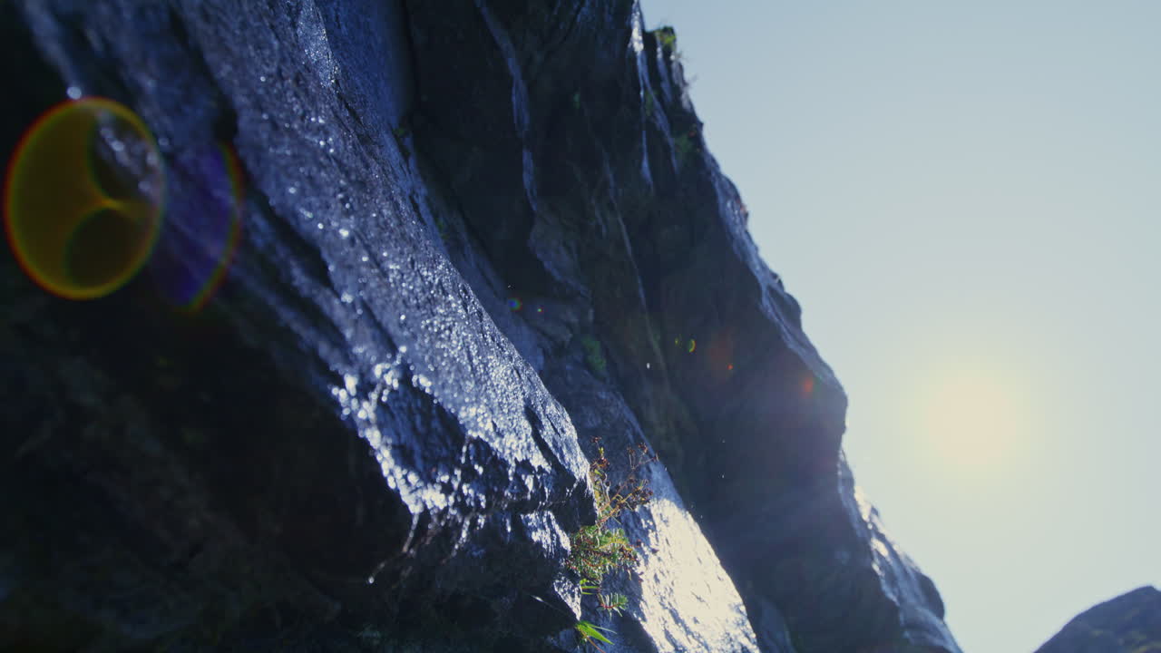 Peaceful summer hike in the Swiss Alps near Mauvoisin, Val de Bagnes, with a border collie enjoying nature, alpine trails, and the turquoise Lac de Mauvoisin under clear blue skies.