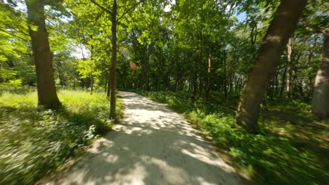 Andar-En-Bicicleta-Y-Correr-Por-Un-Sendero-De-Piedra-Caliza-Triturada