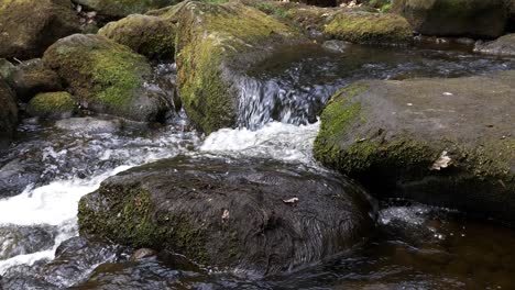 burbage brook flowing over rocks in padley gorge in peak district national park