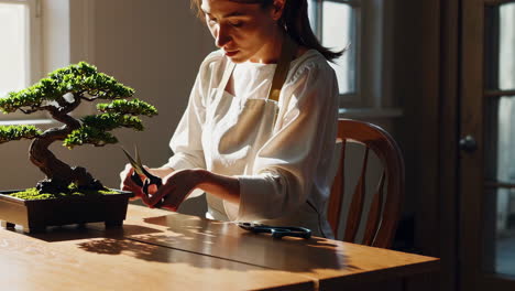 Woman Pruning a Bonsai Tree at Home