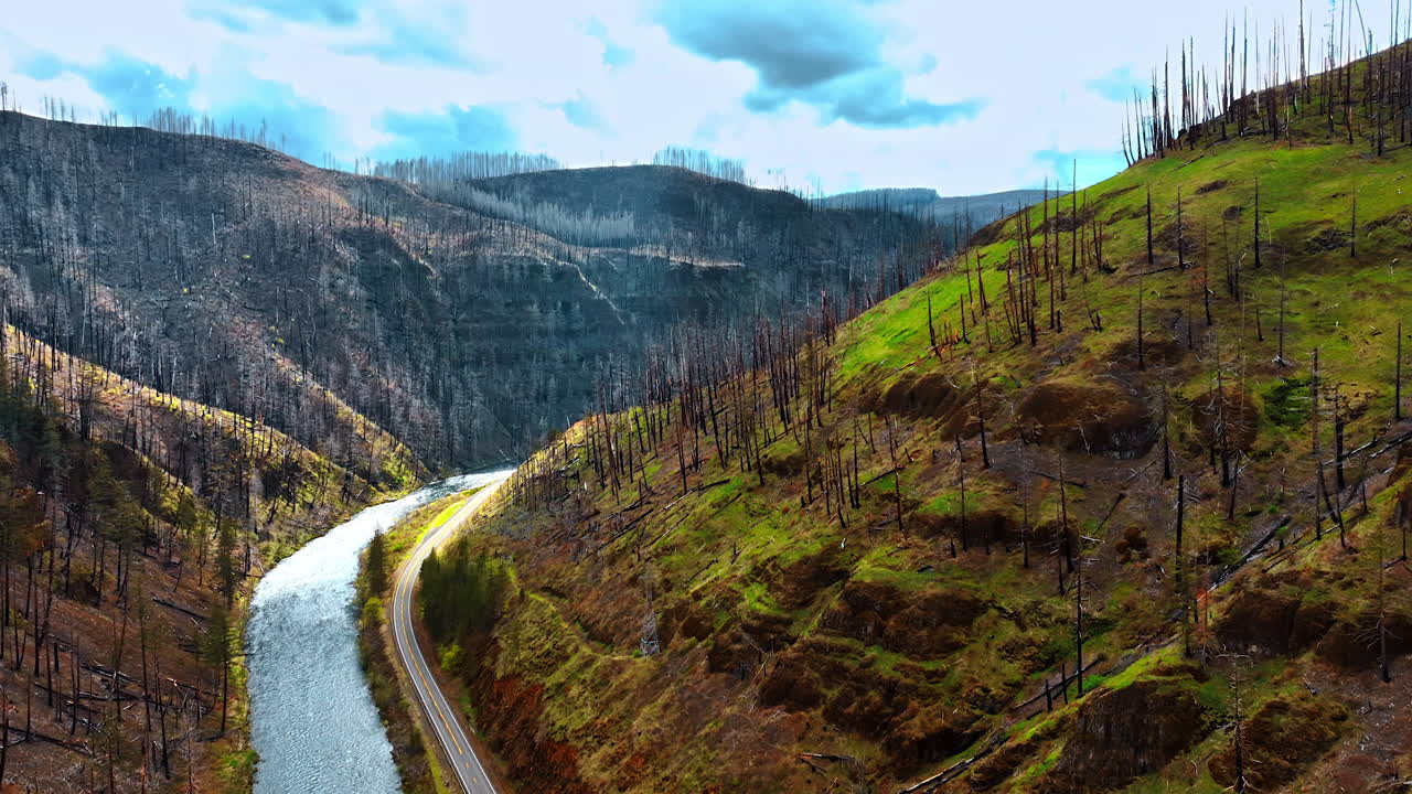 Narrow river and highway in the waterfront are at the foot of the mountains. Drone rising above the rocks with dry dead trees.