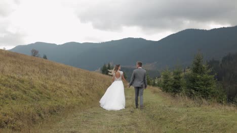 lovely young newlyweds bride groom walking on mountain slope, holding hands, wedding couple family