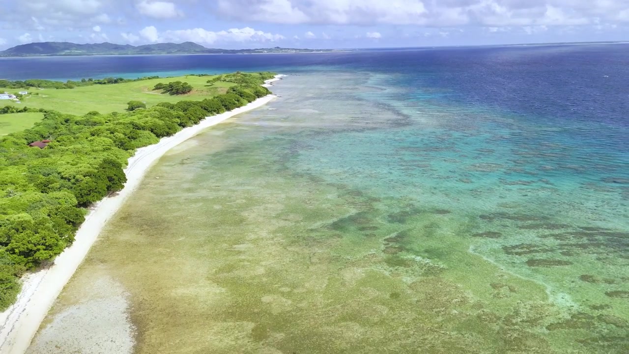 Ripresa aerea con drone dall'alto di una costa verde lussureggiante che incontra un vasto sistema di barriera corallina sotto un cielo luminoso a Ishigaki, Giappone