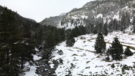 aerial view, on a snowy day, of the mountains and the forest surrounding the valley and the river in la llosa, la cerdanya