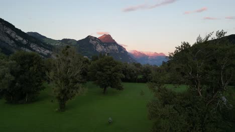 Vuelo-De-Drones-Sobre-Prados-Verdes-Y-árboles-Contra-El-Lago-Y-La-Montaña-Con-Un-Hermoso-Cielo