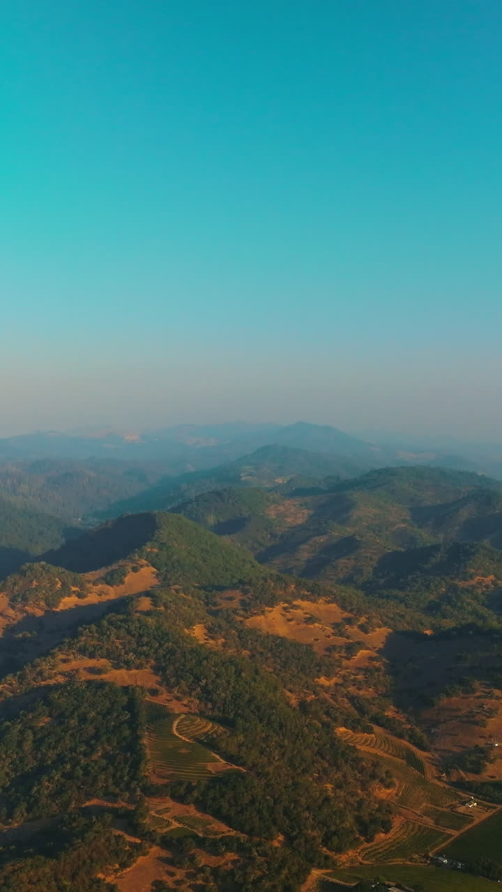 Colorful hot air balloons soaring over the green hills. Picturesque panorama of Napa valley in California, USA. Aerial view. Vertical video