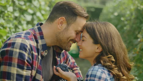 couple enjoying grape harvest