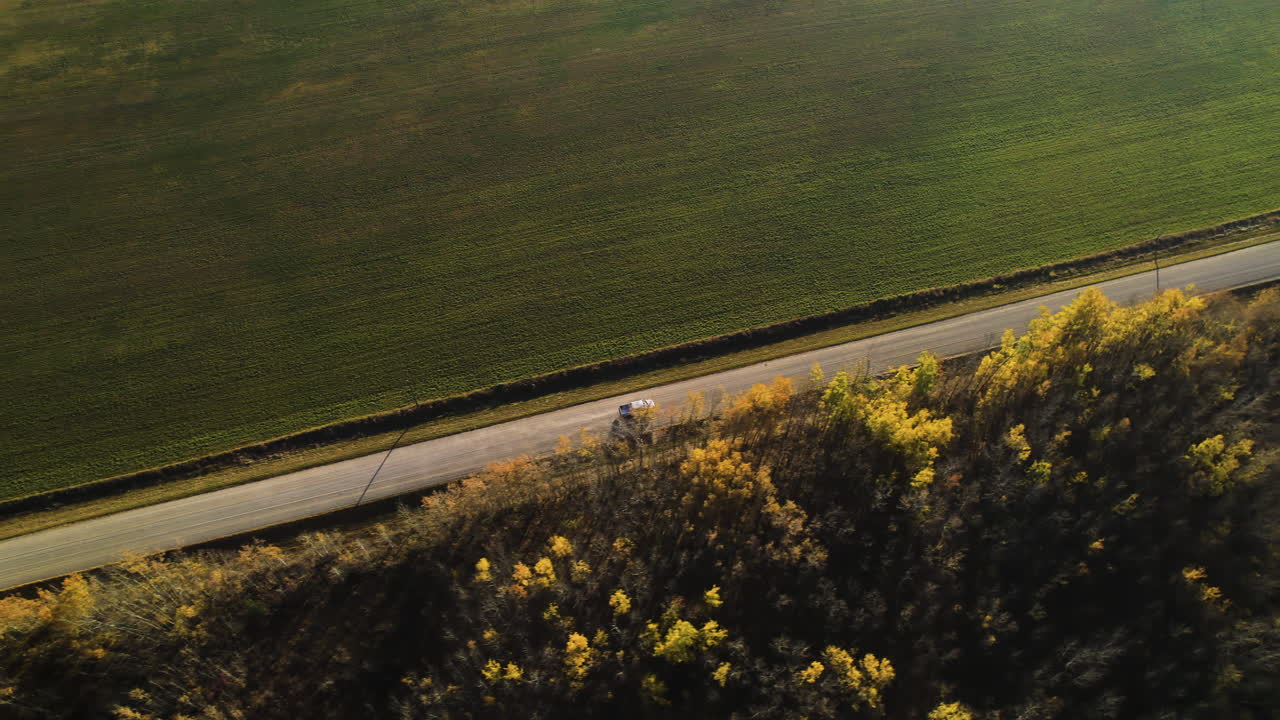 Following A Car Driving On The Road Near Wheat Field In Red Deer County, Alberta, Canada - Drone Shot