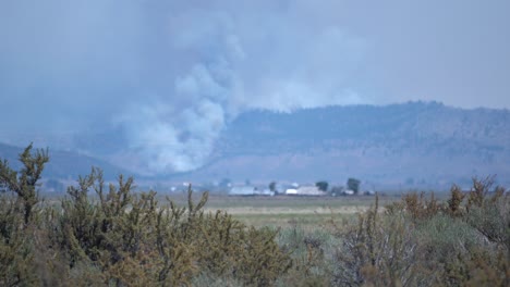 large-wildfire-burns-local-mountain