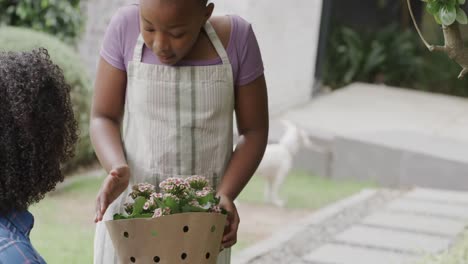 Glückliche-Afroamerikanische-Mutter-Und-Tochter-Pflanzen-Blumen-Im-Garten,-Zeitlupe,-Unverändert