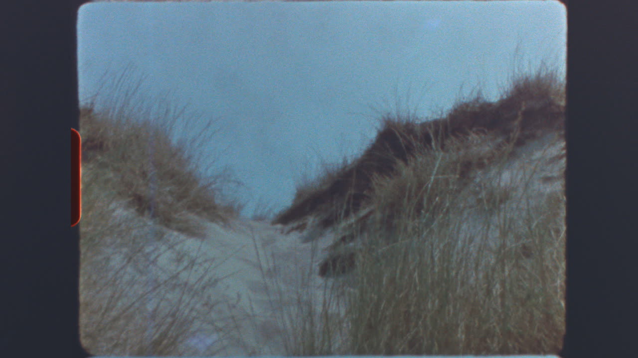 Sandy Path Between Grassy Dunes