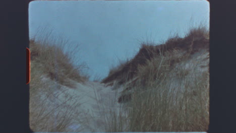 sandy path between grassy dunes