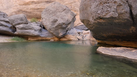 Ruhige-Oasenlandschaftsszene-In-Der-Landschaft-Des-Sultanats-Oman