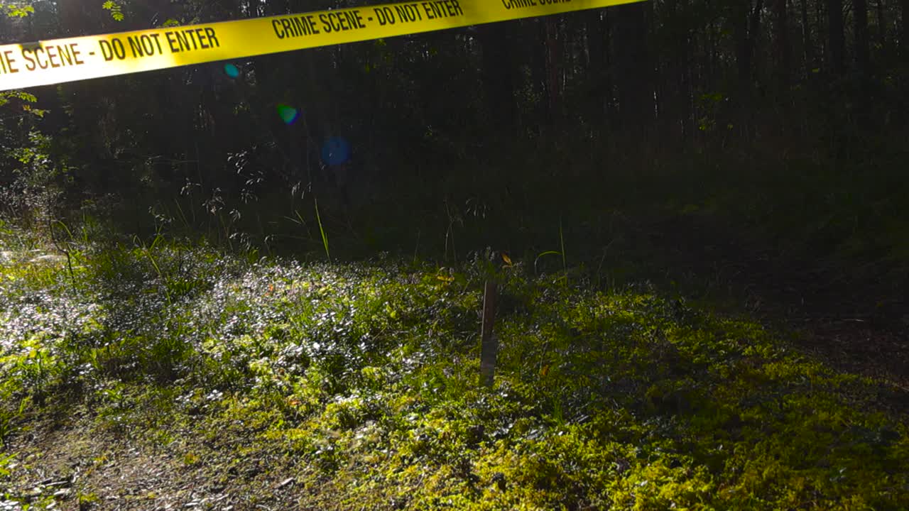 Forensic investigation crime scene police tape hanging and fluttering above a knife that is stabbed in a forest mossy ground while sunshine backlits the tape and the forest floor. Dark trees at back
