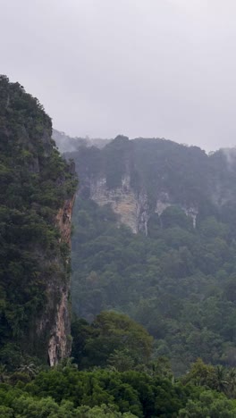 montañas verdes exuberantes envueltas en nubes de niebla