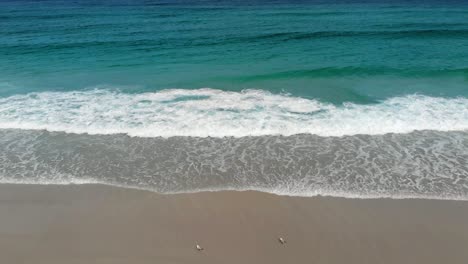 Vista-Aérea-De-Las-Olas-En-Una-Playa,-En-La-Soleada-Australia---Seguimiento,-Disparo-De-Drones