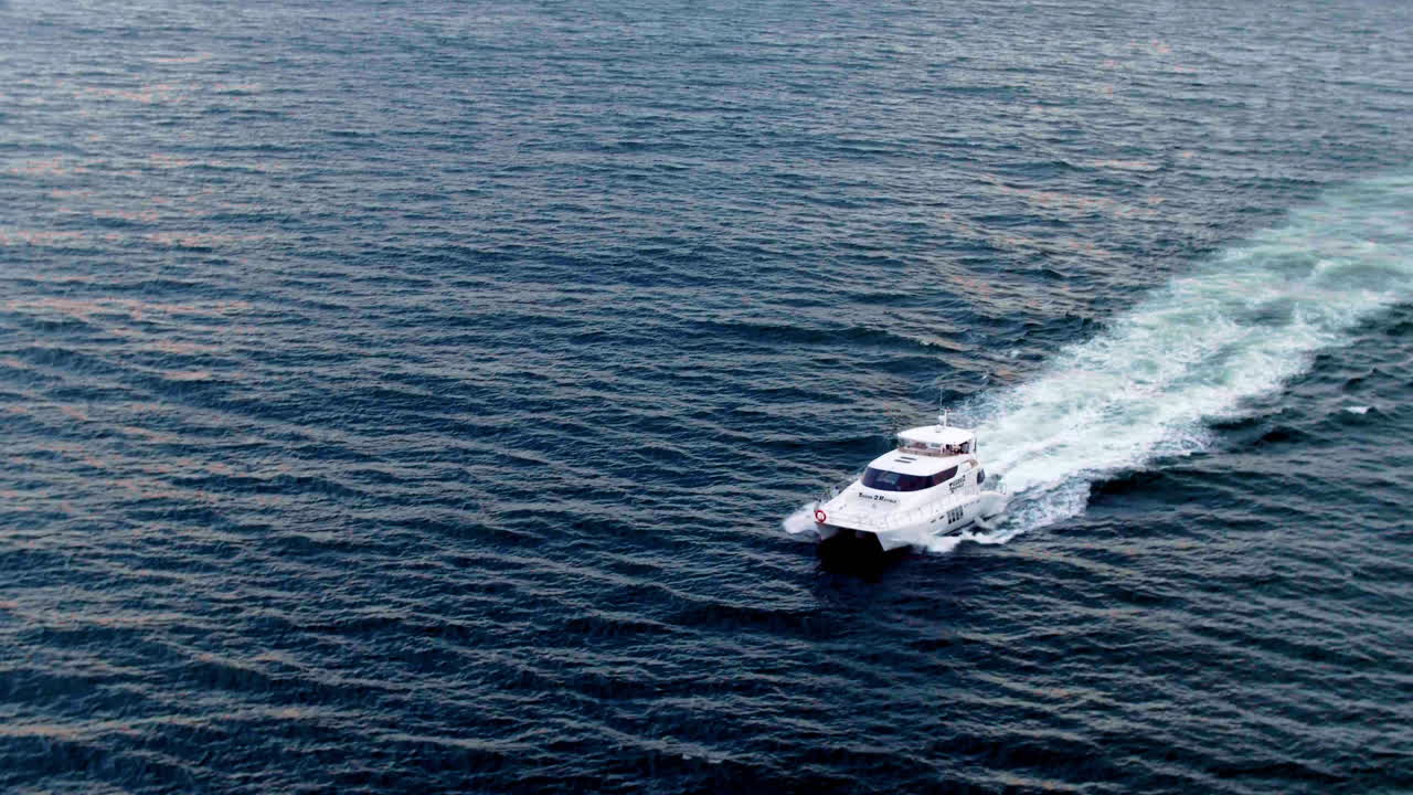 плывущий по волнам