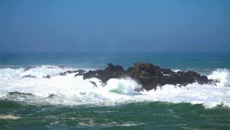 coral getting hit by powerful ocean waves