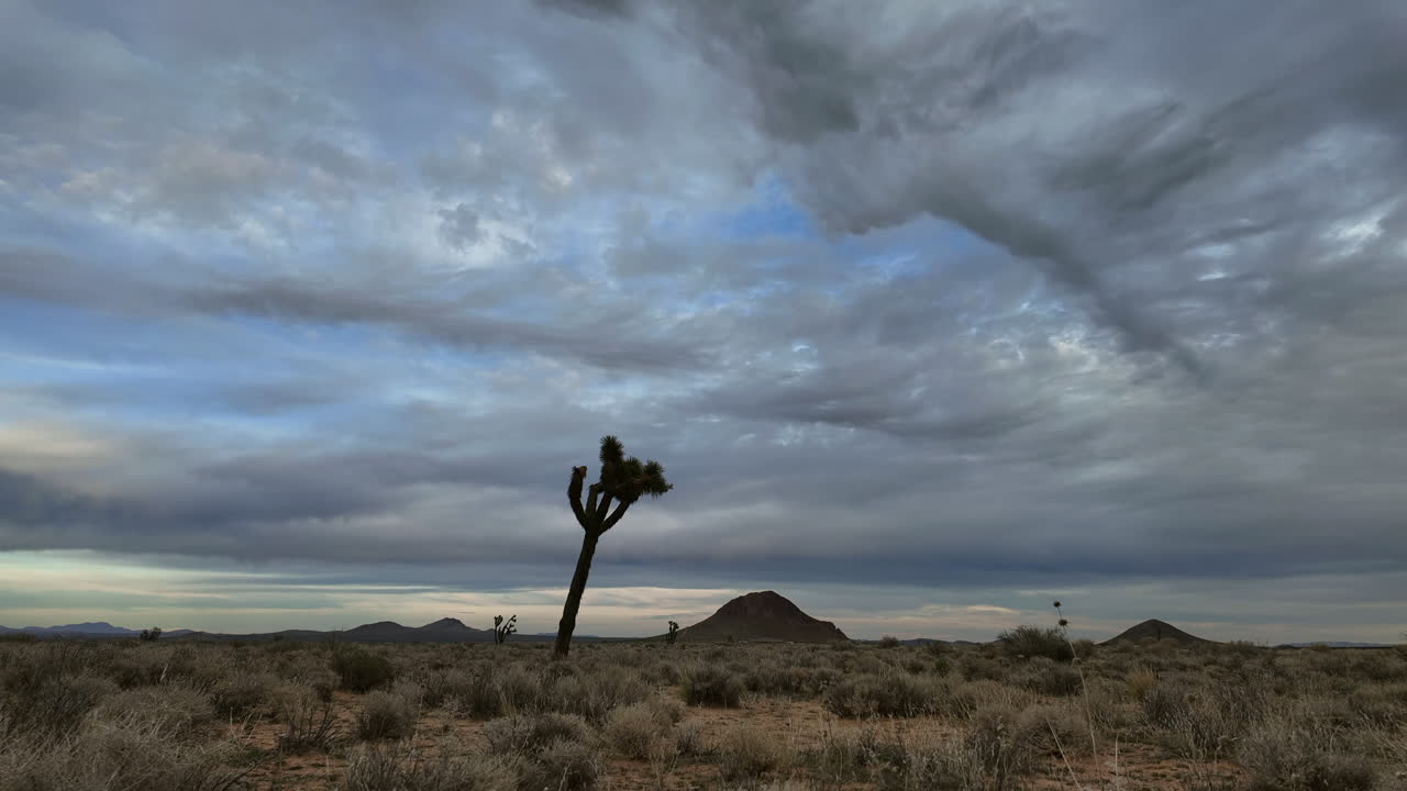 el árbol de josué de pie solo bajo un vasto cielo nublado en el desierto de mojave, timelapse