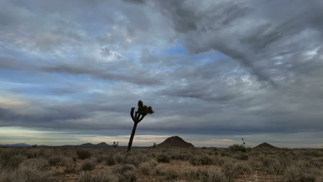 joshua tree standing alone under a vast cloudy sky in the mojave desert, timelapse