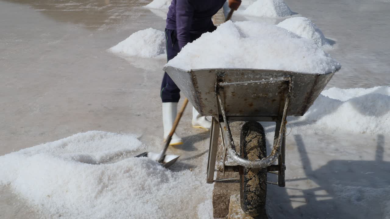 A sea salt farmer is collecting sea salt (16)