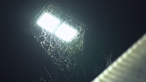 massive spider web around lamp post covered in bugs above bus shelter