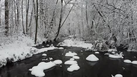the stunning river forest stream in winter