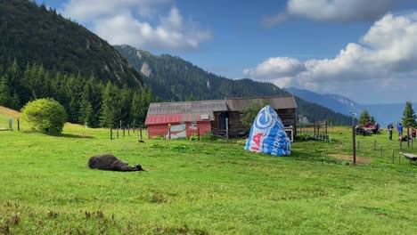 donkey standing in a picturesque field with serene mountainous backdrop and lodge as hikers prepare for their adventure
