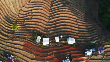 Dry-rice-paddy-field-terrace-rows-in-Thailand-after-harvest