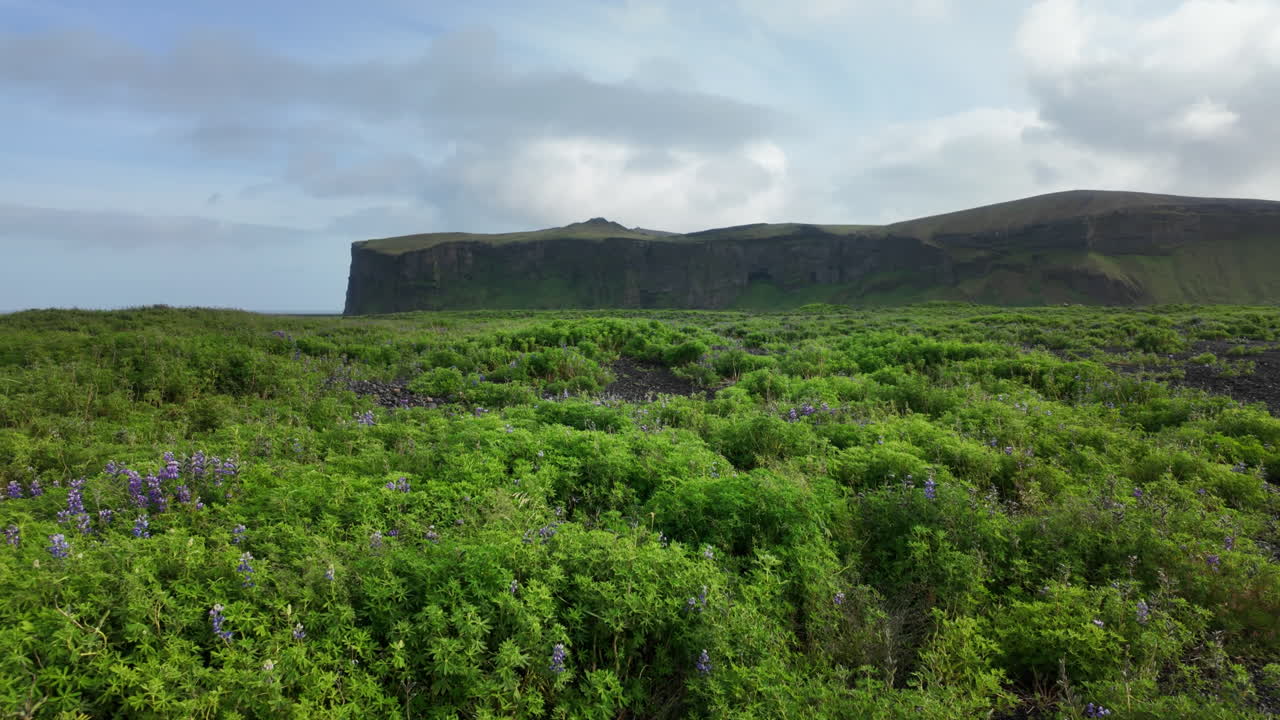 Panoramic scenery of green volcanic valley with rocky path and overcast sky in summer, Iceland