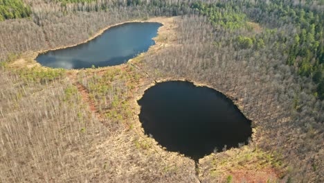 aerial: two lakes in forest on sunny day in between trees