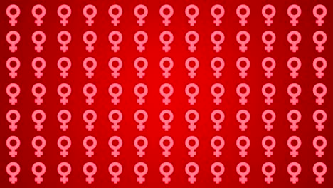 género venera mujer mujeres fondo tráfico horizontal