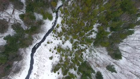 Michigan-Invierno-Bosque-Río-Aire-Arriba-Hacia-Abajo