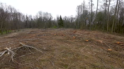 Tract-of-land-where-woodland-trees-have-been-felled-for-timber-industry,-aerial