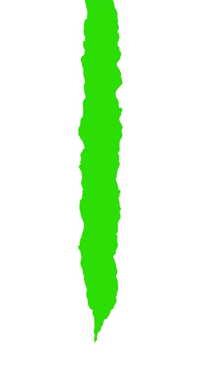 Animated Green Screen Vertical Wipe Transition with Irregular Edges