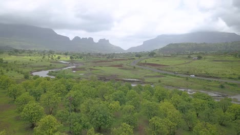 agroforestry and road in western ghats, rural india, aerial forward