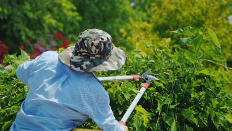 Mexican-Man-Stands-On-A-Stepladder-And-Cuts-Tree-Branches-With-Large-Secateurs