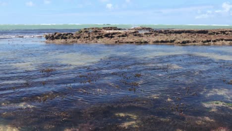 time lapse of comes and goes of waters in natural pool on tropical beach, brazil