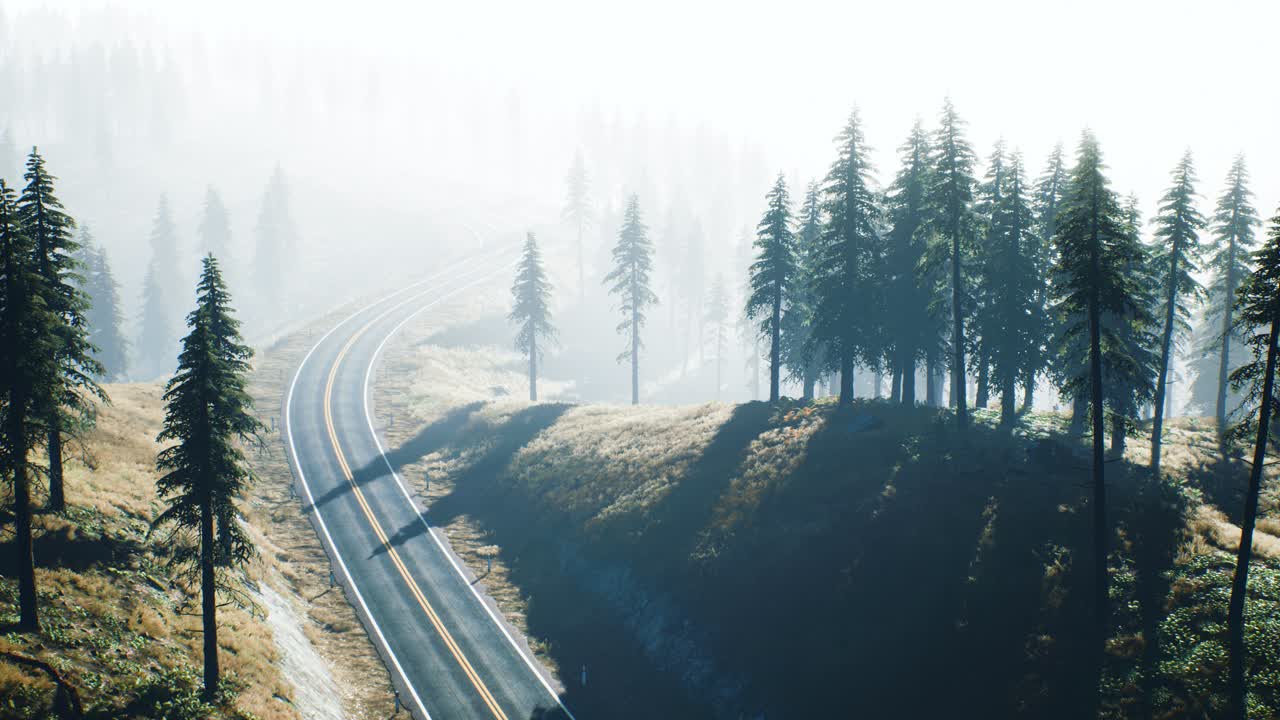 러시아 타이가 숲 을 가로지르는 도로