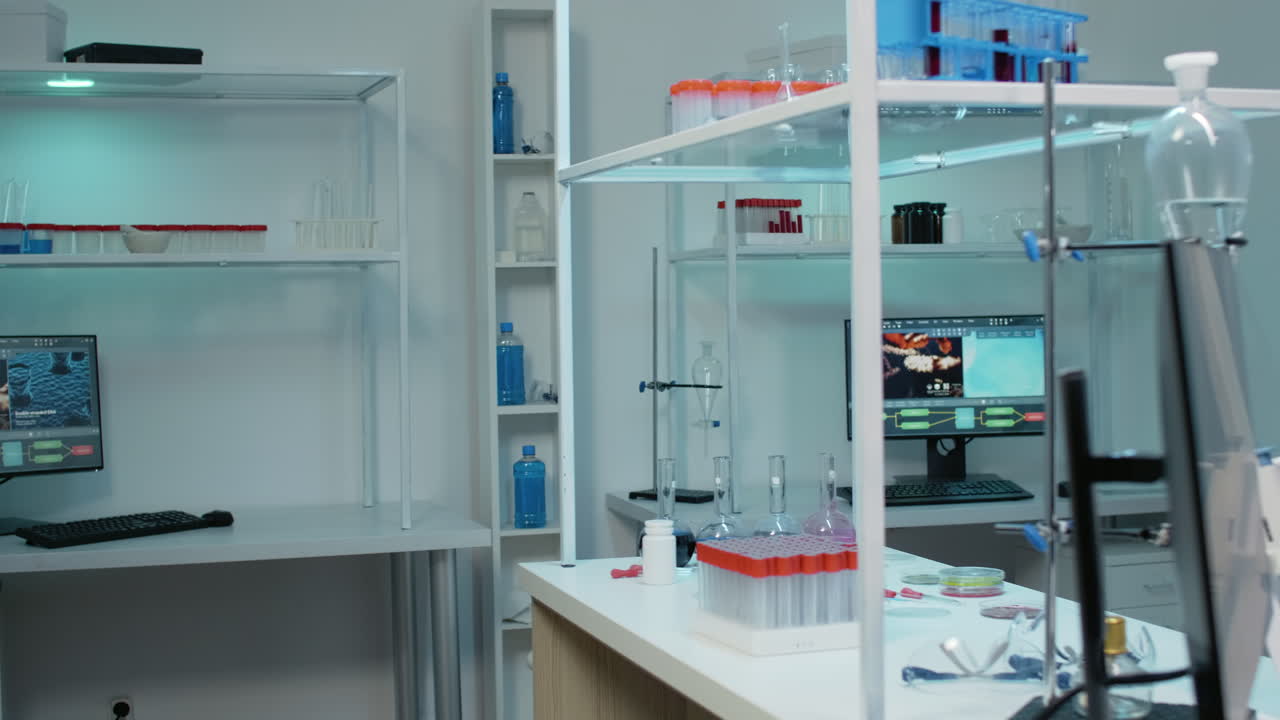 Popular content creator streaming live daily vlog using smartphone